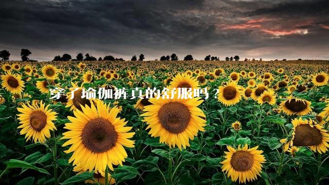 穿了瑜伽裤真的舒服吗?