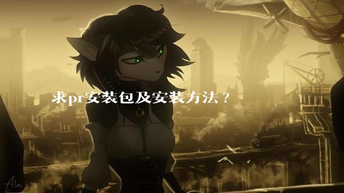 求pr安装包及安装方法?