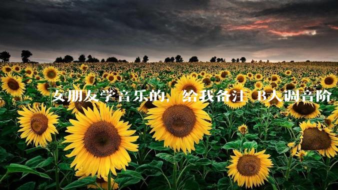 女朋友学音乐的，给我备注 B大调音阶 是什么含义呢？